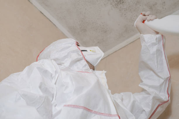 Crawl Space Mold Removal in Hebron, NE