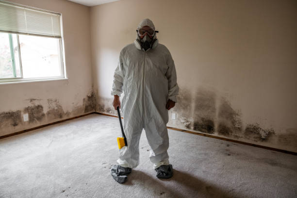 Best Certified Mold Removal  in Hebron, NE