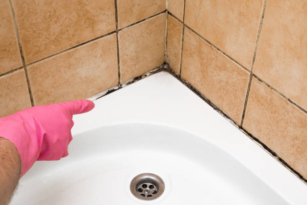 Hebron, NE Mold Removal Company